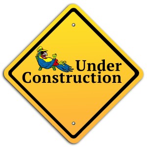 under-construction-parrot